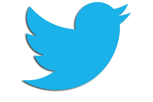 Imagen que muestra un pájaro azul de Twitter con una sombra negra sobre un fondo completamente blanco