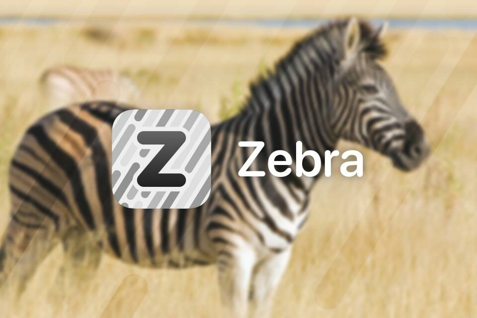 Imagen promocional del administrador de paquetes de Zebra.