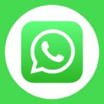 El ícono de la aplicación móvil de WhatsApp dentro de un círculo blanco sólido, sobre un fondo completamente verde